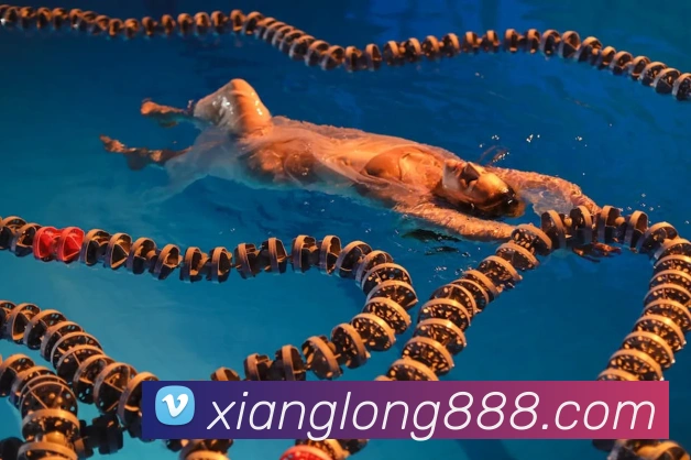 龙八全站App 龙八全站App